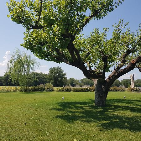 Agriturismo Villa Al Piano Todi Luaran gambar