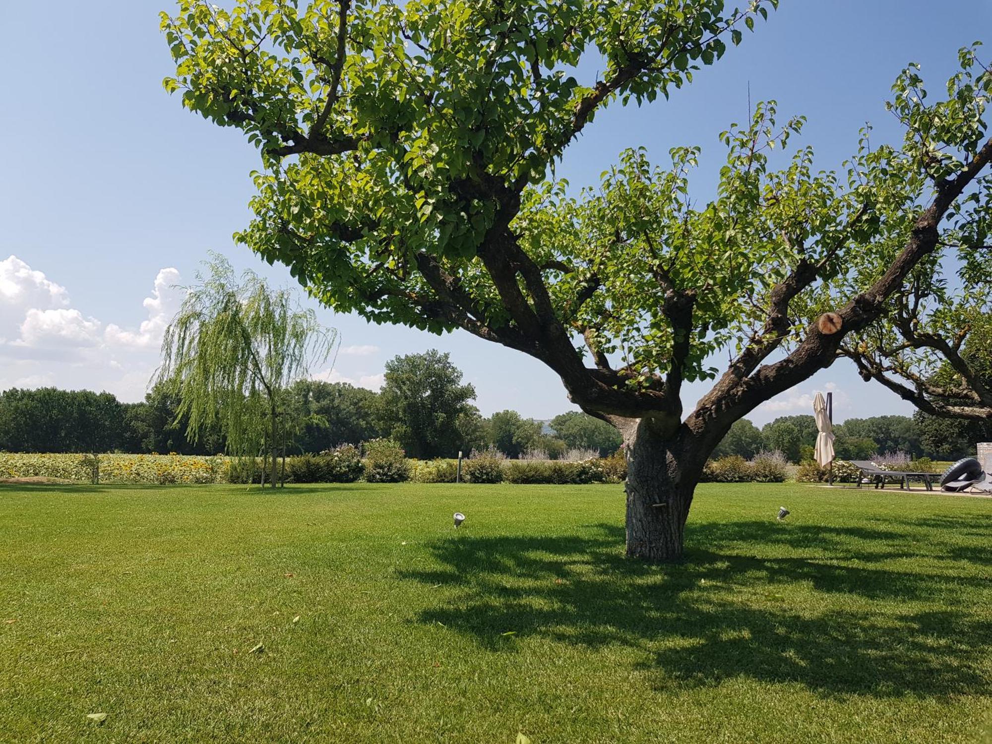 Agriturismo Villa Al Piano Todi Luaran gambar