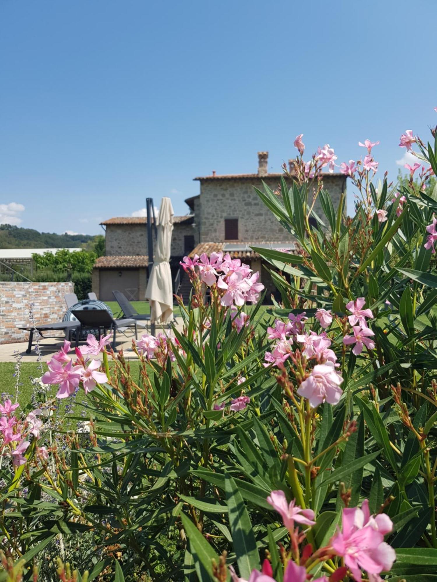 Agriturismo Villa Al Piano Todi Luaran gambar