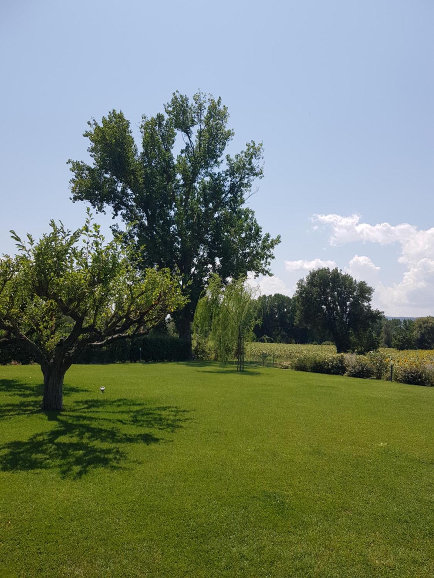 Agriturismo Villa Al Piano Todi Luaran gambar