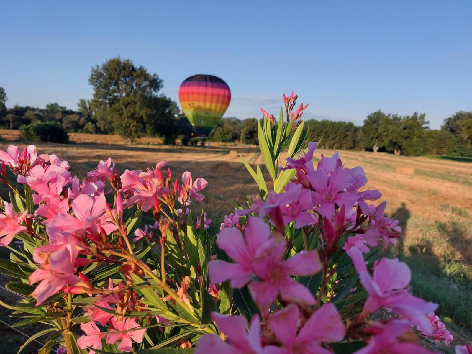 Agriturismo Villa Al Piano Todi Luaran gambar